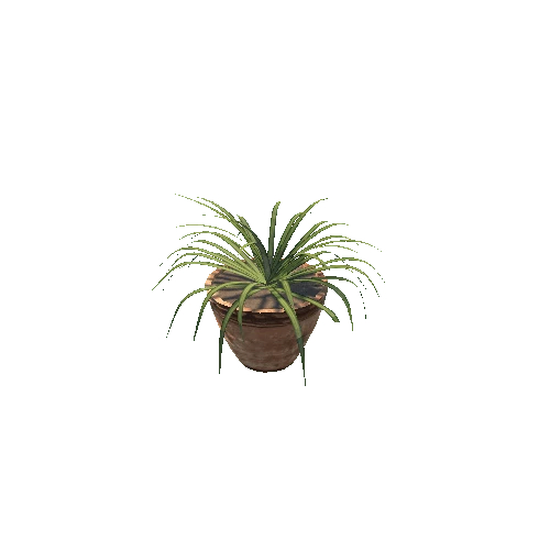 Plant 4